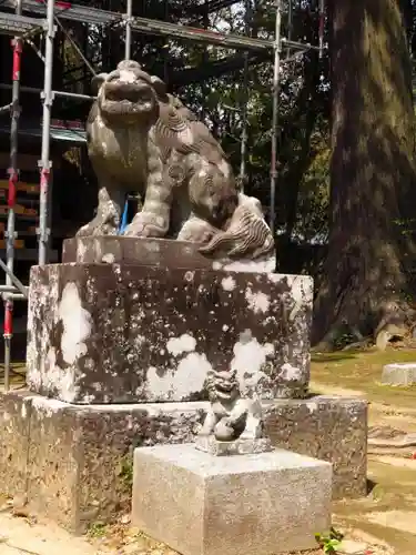 川津来宮神社の狛犬