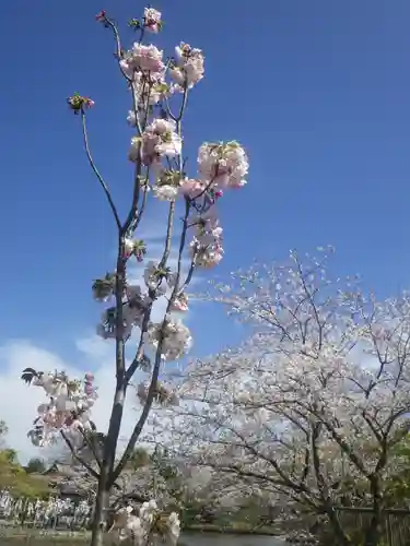 鶴岡八幡宮の景色