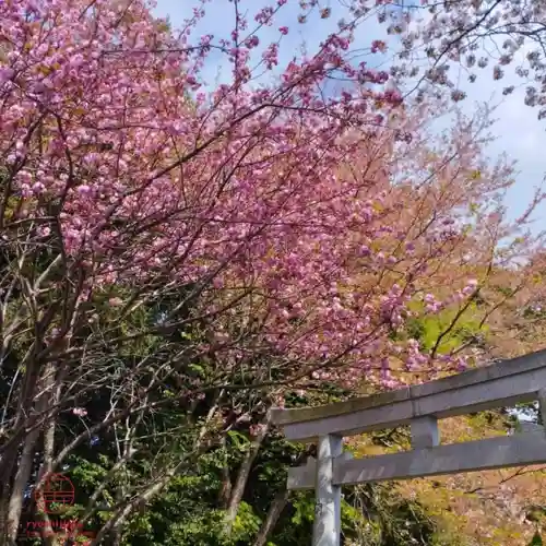 立志神社(滋賀県)