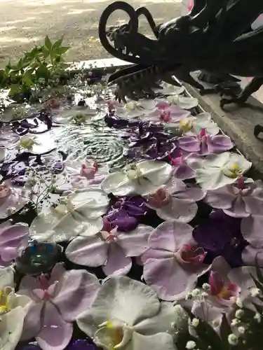 札幌諏訪神社の手水舎