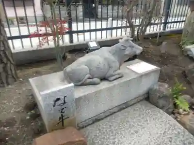 六波羅蜜寺の狛犬