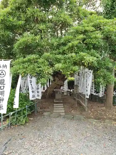 龍口明神社のその他建物