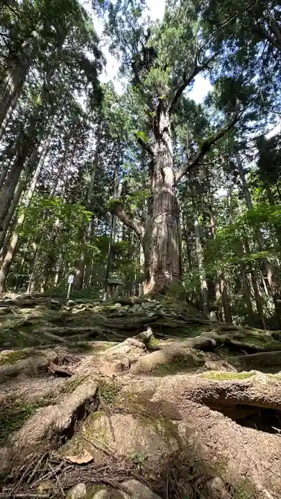 志和稲荷神社(岩手県)