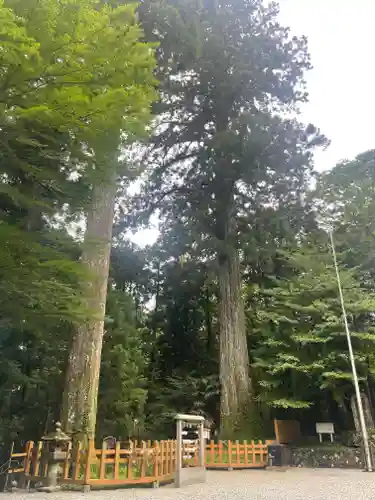 須山浅間神社(静岡県)