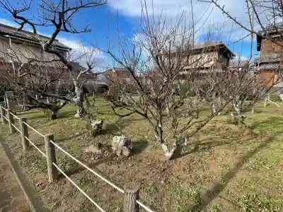 菅原神社の{uncategorized: "未分類", other: "その他", undefined: "問題あり", building: "その他建物", grave: "お墓", sacred_gate: "鳥居", guardian: "狛犬", statue: "像", buddha: "仏像", history: "歴史", nature: "自然", garden: "庭園", animal: "動物", pagoda: "塔", temizu: "手水舎", mountain_gate: "山門・神門", sanctuary: "本殿・本堂", subordinate: "末社・摂社", art: "芸術", scenery: "景色", jizo: "地蔵", ema: "絵馬", goshuin: "御朱印", omikuji: "おみくじ", items: "授与品その他", amulet: "お守り", goshuincho: "御朱印帳", eats: "食事", festival: "お祭り", votive_dance: "神楽", shichigosan: "七五三参", wedding: "結婚式", experience: "体験その他", initially: "初詣", around: "周辺", anti_infection: "感染症対策"}