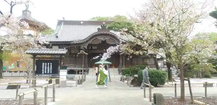 祐天寺の本殿・本堂