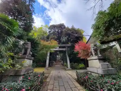 赤坂氷川神社の鳥居