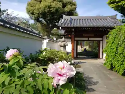 圓照寺の山門・神門