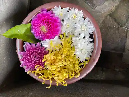 菅生神社の自然