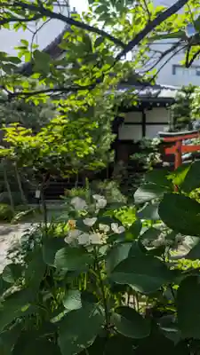 宝蔵寺(京都府)