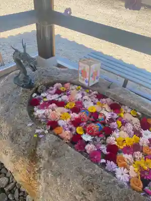 金井神社の手水舎