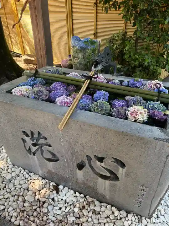 蛇窪神社の{uncategorized: "未分類", other: "その他", undefined: "問題あり", building: "その他建物", grave: "お墓", sacred_gate: "鳥居", guardian: "狛犬", statue: "像", buddha: "仏像", history: "歴史", nature: "自然", garden: "庭園", animal: "動物", pagoda: "塔", temizu: "手水舎", mountain_gate: "山門・神門", sanctuary: "本殿・本堂", subordinate: "末社・摂社", art: "芸術", scenery: "景色", jizo: "地蔵", ema: "絵馬", goshuin: "御朱印", omikuji: "おみくじ", items: "授与品その他", amulet: "お守り", goshuincho: "御朱印帳", eats: "食事", festival: "お祭り", votive_dance: "神楽", shichigosan: "七五三参", wedding: "結婚式", experience: "体験その他", initially: "初詣", around: "周辺", anti_infection: "感染症対策"}