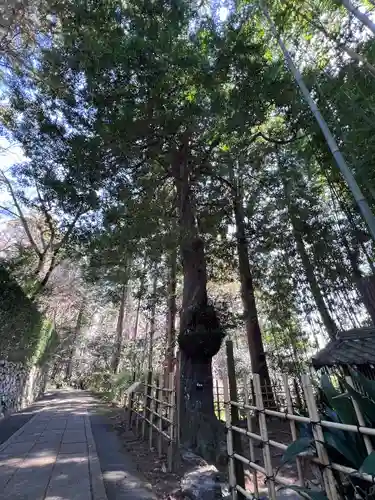 龍潭寺(静岡県)