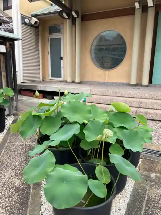 称念寺(大阪府)