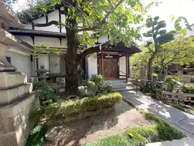 墨染寺（桜寺）(京都府)