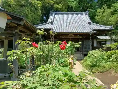 金乘院の{uncategorized: "未分類", other: "その他", undefined: "問題あり", building: "その他建物", grave: "お墓", sacred_gate: "鳥居", guardian: "狛犬", statue: "像", buddha: "仏像", history: "歴史", nature: "自然", garden: "庭園", animal: "動物", pagoda: "塔", temizu: "手水舎", mountain_gate: "山門・神門", sanctuary: "本殿・本堂", subordinate: "末社・摂社", art: "芸術", scenery: "景色", jizo: "地蔵", ema: "絵馬", goshuin: "御朱印", omikuji: "おみくじ", items: "授与品その他", amulet: "お守り", goshuincho: "御朱印帳", eats: "食事", festival: "お祭り", votive_dance: "神楽", shichigosan: "七五三参", wedding: "結婚式", experience: "体験その他", initially: "初詣", around: "周辺", anti_infection: "感染症対策"}