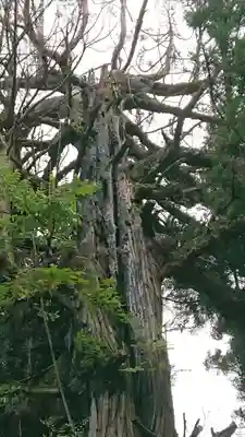 小川温泉神社のその他建物