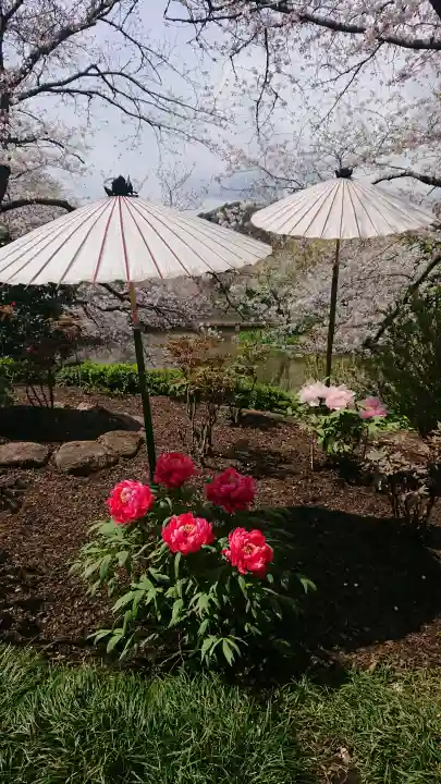 鶴岡八幡宮の{uncategorized: "未分類", other: "その他", undefined: "問題あり", building: "その他建物", grave: "お墓", sacred_gate: "鳥居", guardian: "狛犬", statue: "像", buddha: "仏像", history: "歴史", nature: "自然", garden: "庭園", animal: "動物", pagoda: "塔", temizu: "手水舎", mountain_gate: "山門・神門", sanctuary: "本殿・本堂", subordinate: "末社・摂社", art: "芸術", scenery: "景色", jizo: "地蔵", ema: "絵馬", goshuin: "御朱印", omikuji: "おみくじ", items: "授与品その他", amulet: "お守り", goshuincho: "御朱印帳", eats: "食事", festival: "お祭り", votive_dance: "神楽", shichigosan: "七五三参", wedding: "結婚式", experience: "体験その他", initially: "初詣", around: "周辺", anti_infection: "感染症対策"}