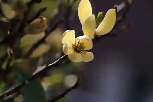 阿邪訶根神社の自然