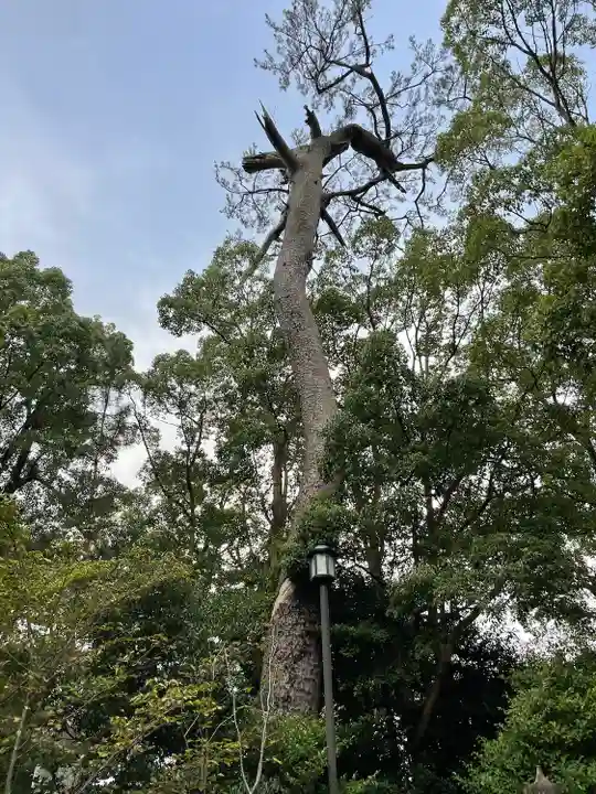 宮山神社(神奈川県)