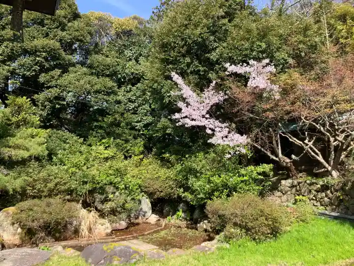 氣多大社の{uncategorized: "未分類", other: "その他", undefined: "問題あり", building: "その他建物", grave: "お墓", sacred_gate: "鳥居", guardian: "狛犬", statue: "像", buddha: "仏像", history: "歴史", nature: "自然", garden: "庭園", animal: "動物", pagoda: "塔", temizu: "手水舎", mountain_gate: "山門・神門", sanctuary: "本殿・本堂", subordinate: "末社・摂社", art: "芸術", scenery: "景色", jizo: "地蔵", ema: "絵馬", goshuin: "御朱印", omikuji: "おみくじ", items: "授与品その他", amulet: "お守り", goshuincho: "御朱印帳", eats: "食事", festival: "お祭り", votive_dance: "神楽", shichigosan: "七五三参", wedding: "結婚式", experience: "体験その他", initially: "初詣", around: "周辺", anti_infection: "感染症対策"}