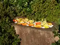 林泉寺の手水舎