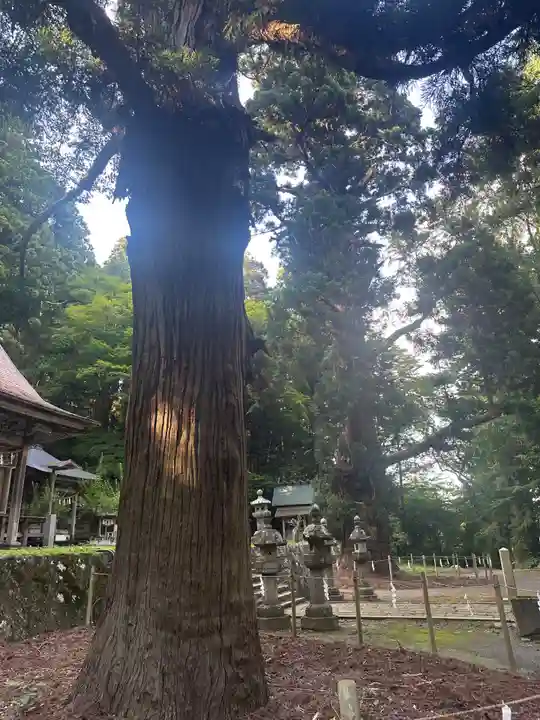 配志和神社(岩手県)