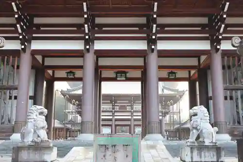 清大寺(越前大仏)(福井県)