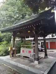 自由が丘熊野神社の手水