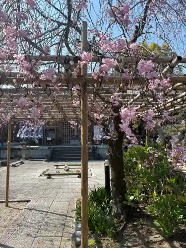 後白河院御聖蹟　法住寺(京都府)