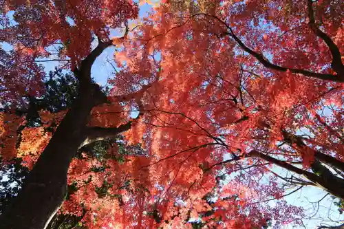 國祖神社の庭園