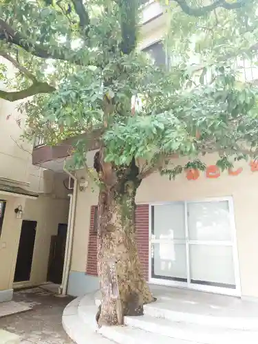 根岸八幡神社(神奈川県)