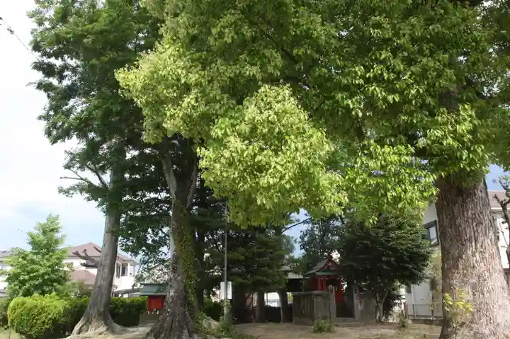 須佐男神社(奈良県)