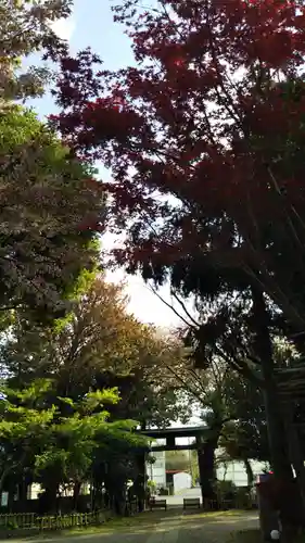 畑子安神社の鳥居