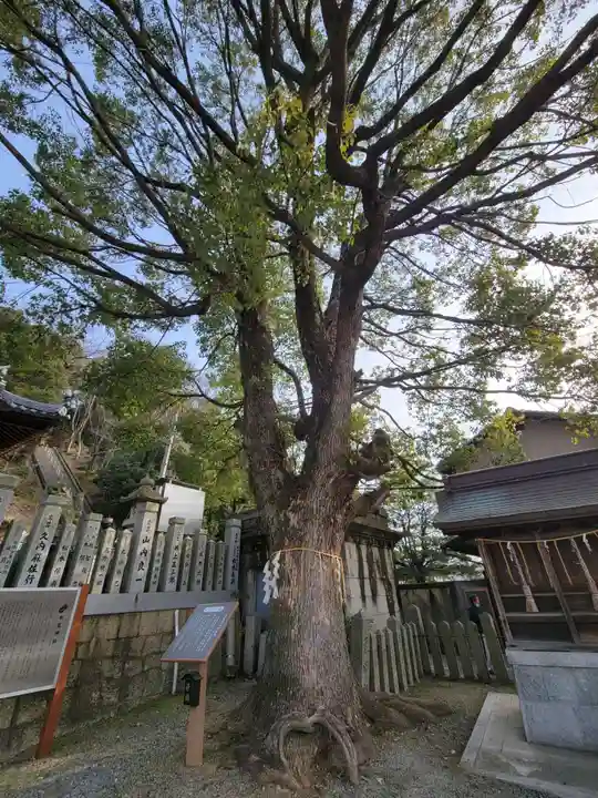 水尾神社(兵庫県)