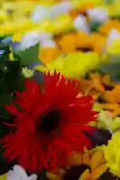 住吉神社の手水舎