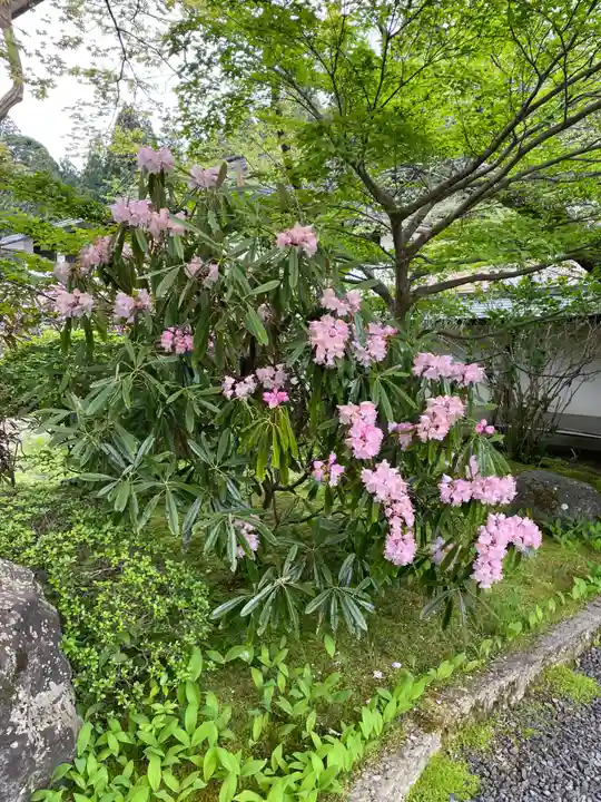 南院(和歌山県)