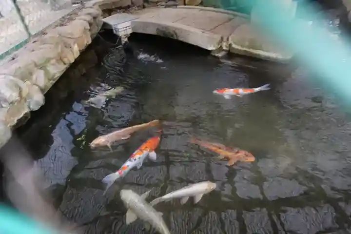 垂水神社の動物