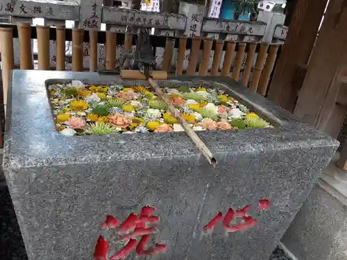 高円寺氷川神社の手水舎