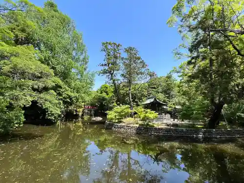 武蔵一宮氷川神社(埼玉県)