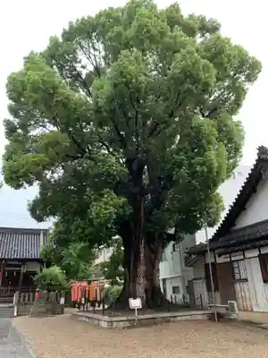 島頭天満宮(大阪府)