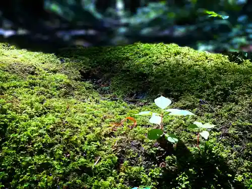 小菅神社奥社(長野県)