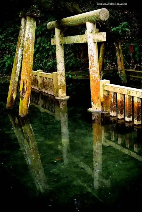 奥宮(鹿島神宮摂社)(茨城県)