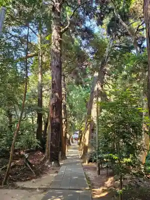 日吉神社(千葉県)