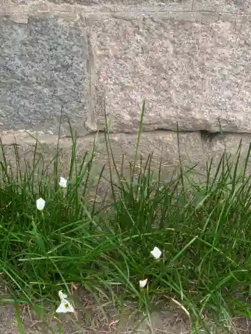 法安寺(大阪府)