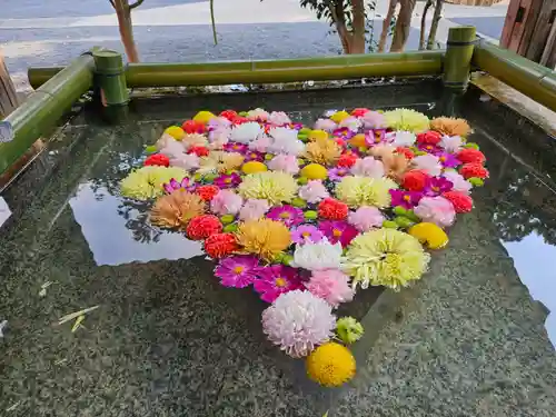 布施弁天 東海寺(千葉県)