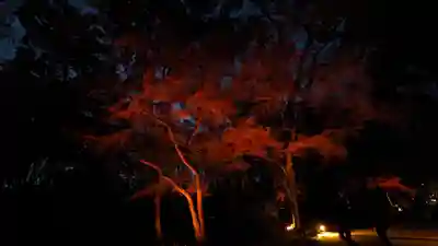 賀茂御祖神社（下鴨神社）(京都府)