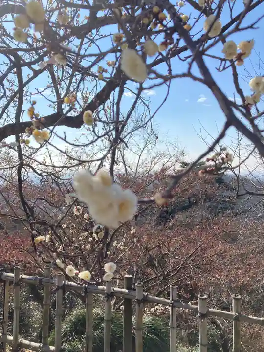 唐澤山神社(栃木県)