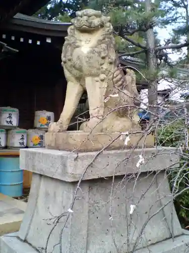 姫路神社の狛犬