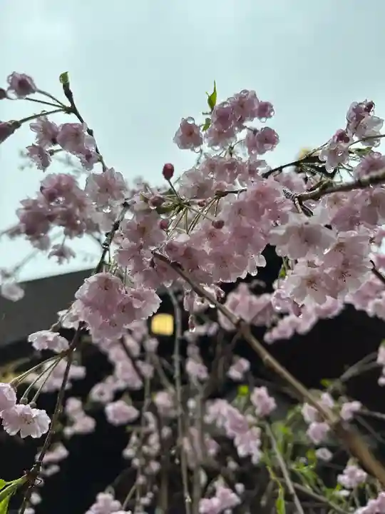 東京大神宮(東京都)